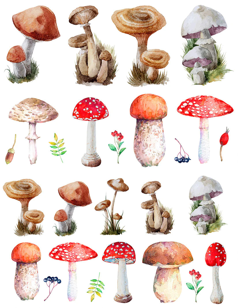 Mushroom Overglaze Decal